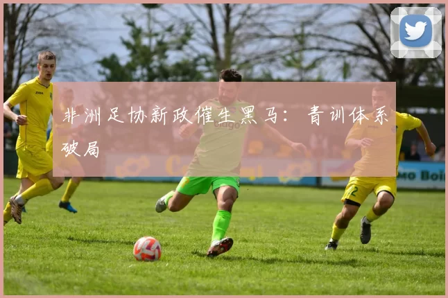 非洲足协新政催生黑马：青训体系破局