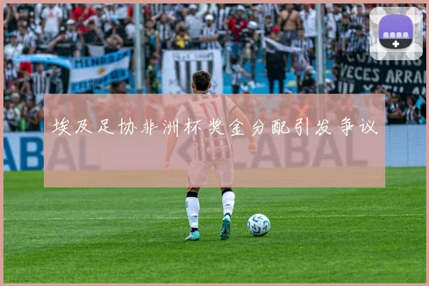 埃及足协非洲杯奖金分配引发争议