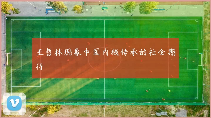 王哲林现象中国内线传承的社会期待
