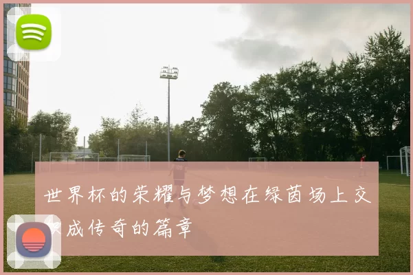 世界杯的荣耀与梦想在绿茵场上交织成传奇的篇章