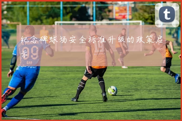 纪念碑球场安全标准升级的政策启示