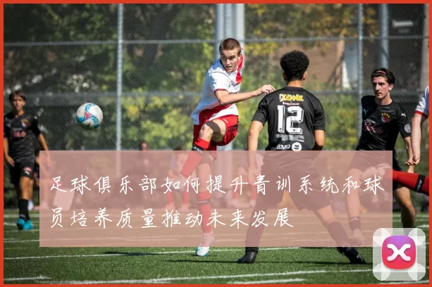 足球俱乐部如何提升青训系统和球员培养质量推动未来发展